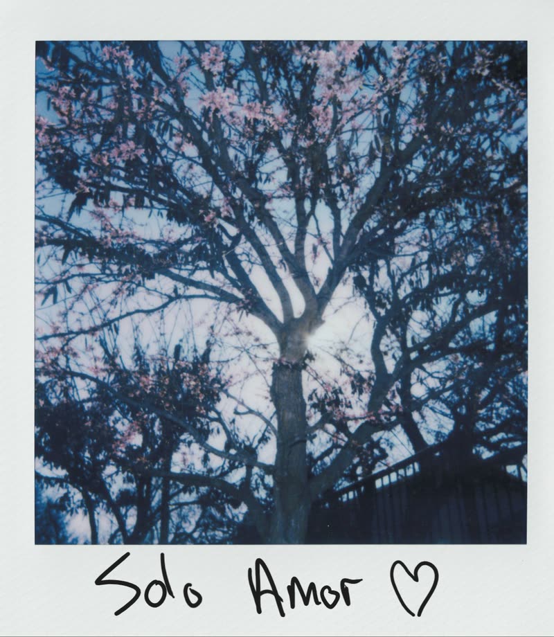 Polaroid for Solo Amor, title handwritten across the white border