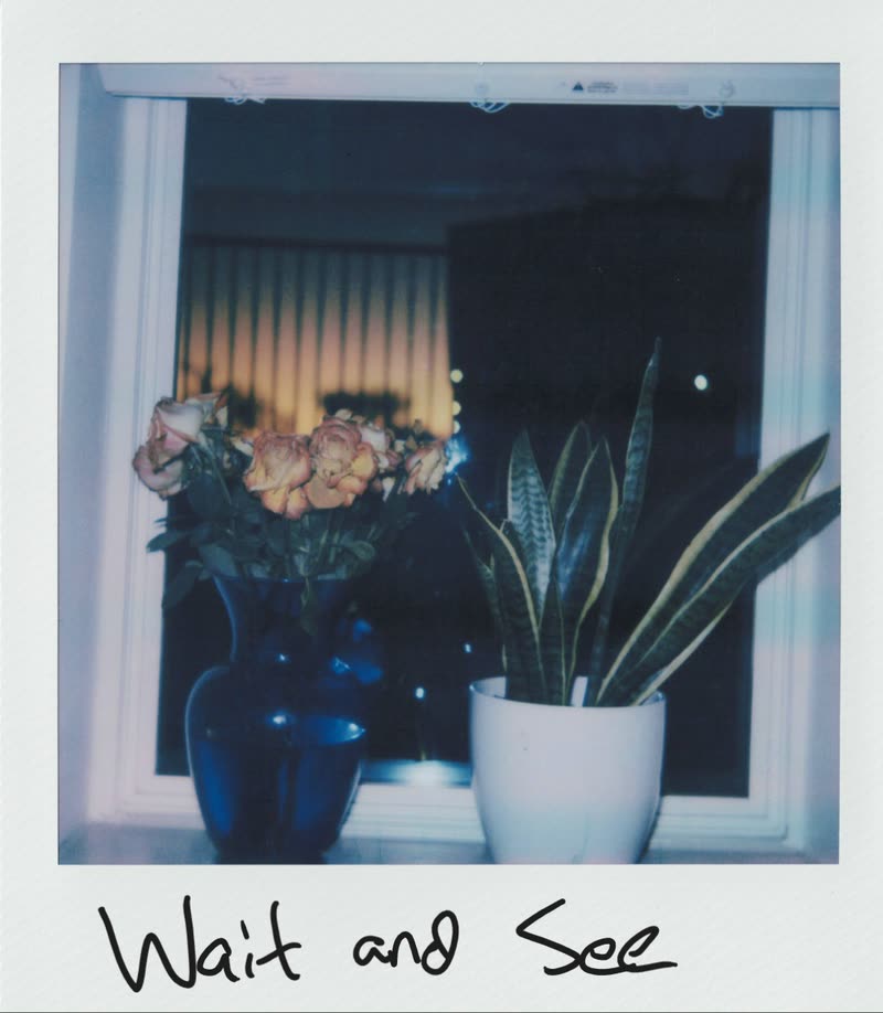 Polaroid for Wait and See, title handwritten across the white border